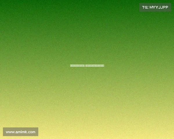 法甲青训球员崭露头角 新一代足球人才的崛起与挑战