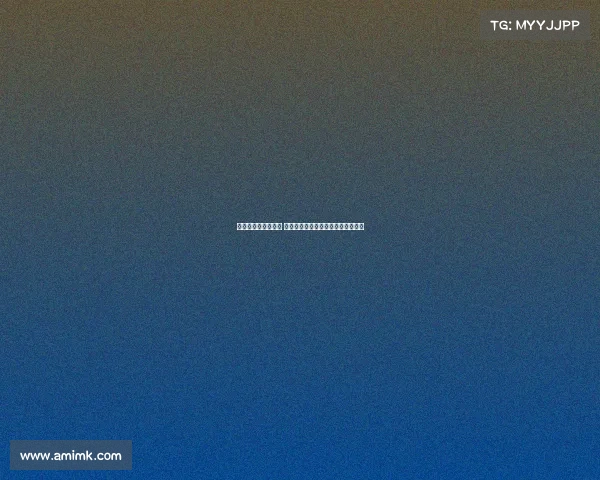 以利华古逊崭露头角 德甲新生力量的崛起与未来潜力分析