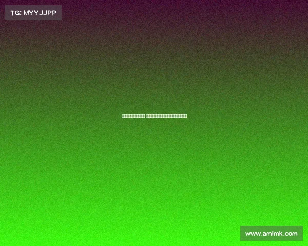 多特蒙德迎战蒙特雷 吉拉西贝林厄姆出战拉莫斯首发助力