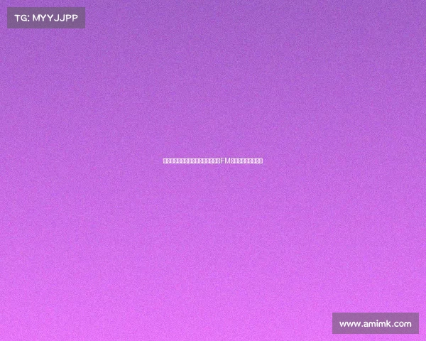 南安普顿主帅：比利时小球队也依赖FM和德转数据工具分析