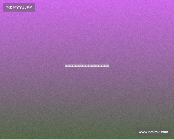 河南队足协杯决赛之路：逆转浙江点球淘汰申花与成都挑战荣耀之巅